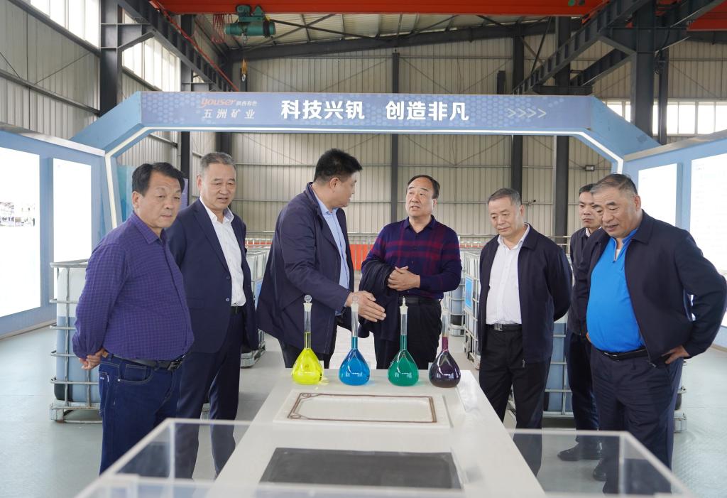 20250409-陜西有色金屬集團(tuán)外部董事一行到五洲礦業(yè)公司調(diào)研 (2).jpg