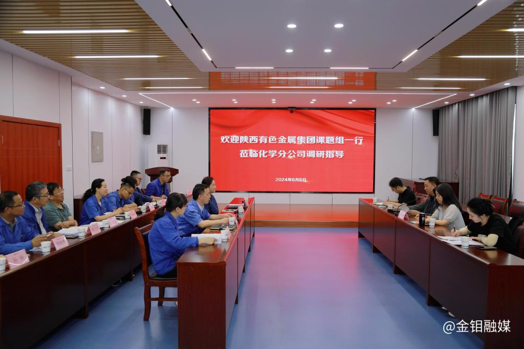 20240607-陜西有色金屬集團課題組一行蒞臨化學分公司調(diào)研指導 (3).jpg